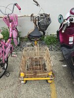 20250630_123452.jpg