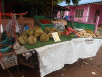 DSCN0576.JPG