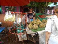 DSCN0578.JPG