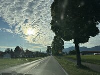 IMG_7065.jpeg IMG_7065.jpeg