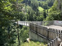 IMG_7098.jpeg