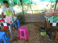 DSCN0587.JPG