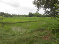 DSCN0593.JPG