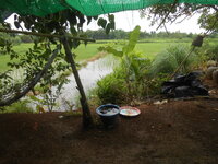 DSCN0588.JPG