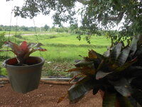 DSCN0591.JPG