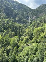 IMG_7103.jpeg