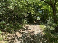 IMG_7104.jpeg