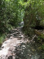 IMG_7105.jpeg