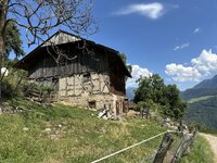 IMG_7110.jpeg