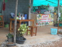 DSCN0596.JPG