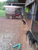 DSCN0481~2.JPG