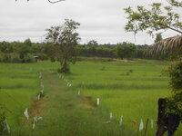 DSCN0485.JPG