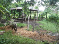 DSCN0473.JPG