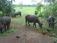 DSCN0472.JPG