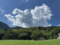 IMG_7114.jpeg