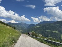 IMG_7111.jpeg