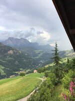 IMG_3396.jpeg