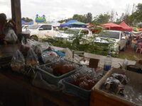 DSCN0652.JPG