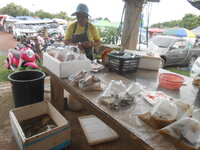 DSCN0654.JPG