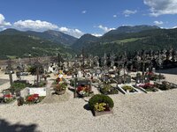 IMG_7586.jpeg