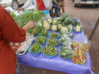 DSCN0657.JPG