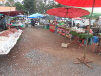 DSCN0655.JPG