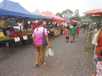 DSCN0661.JPG