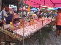 DSCN0668.JPG