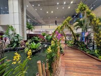 PXL_20250705_032016575~2.jpg