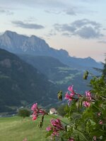IMG_7147.jpeg