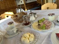 IMG_7151.jpeg