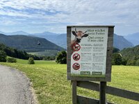 IMG_7168.jpeg