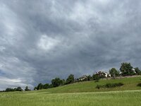 IMG_7175.jpeg