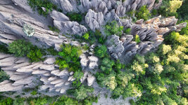 DJI_0950.jpg