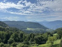 IMG_7174.jpeg