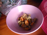 DSCN0696.JPG