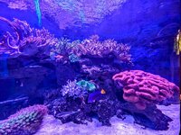 PXL_20250706_124217737.MP~4.jpg