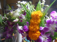DSCN0704.JPG