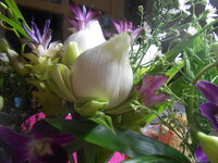 DSCN0700.JPG