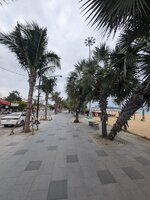 PXL_20250707_015913088.jpg