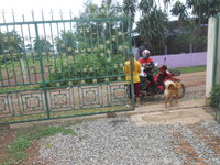 DSCN0748.JPG