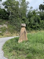 IMG_7187.jpeg