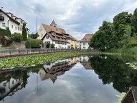 IMG_7188.jpeg