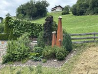 IMG_7267.jpeg