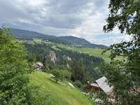 IMG_7196.jpeg