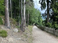 IMG_7199.jpeg