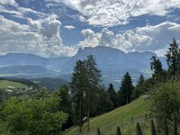 IMG_7202.jpeg