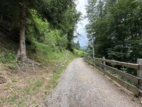 IMG_7205.jpeg