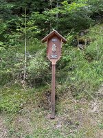 IMG_7204.jpeg