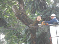 DSCN0784.JPG